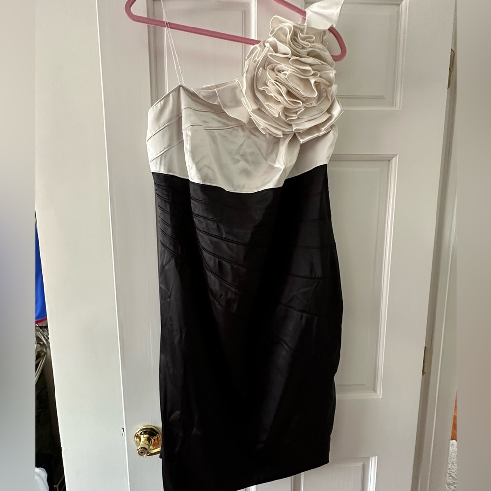 Adrianna Papell Dress